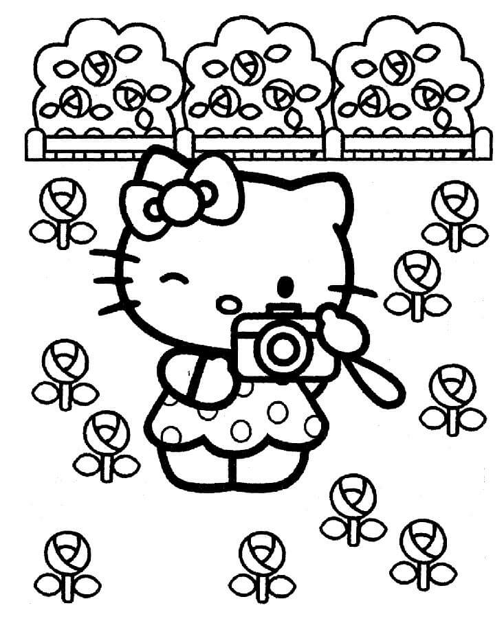 Hello Kitty Mengambil Foto Taman Bunga
