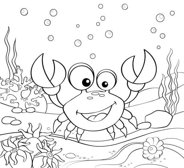 Kepiting Menyenangkan di Laut