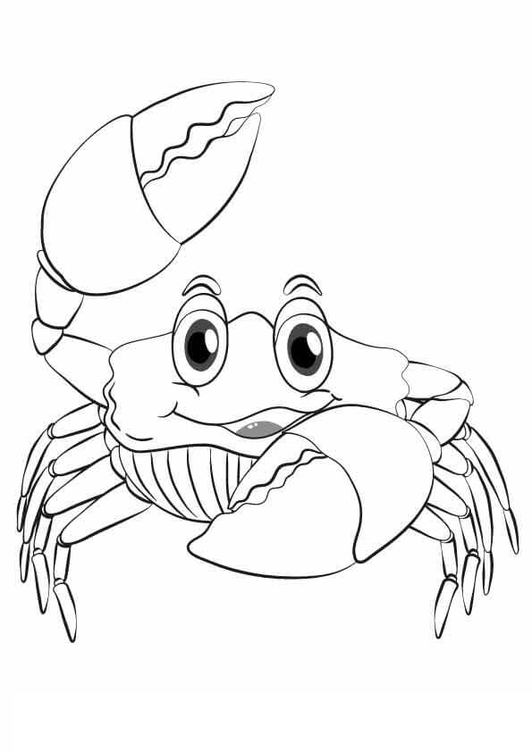 Kepiting yang Menggemaskan