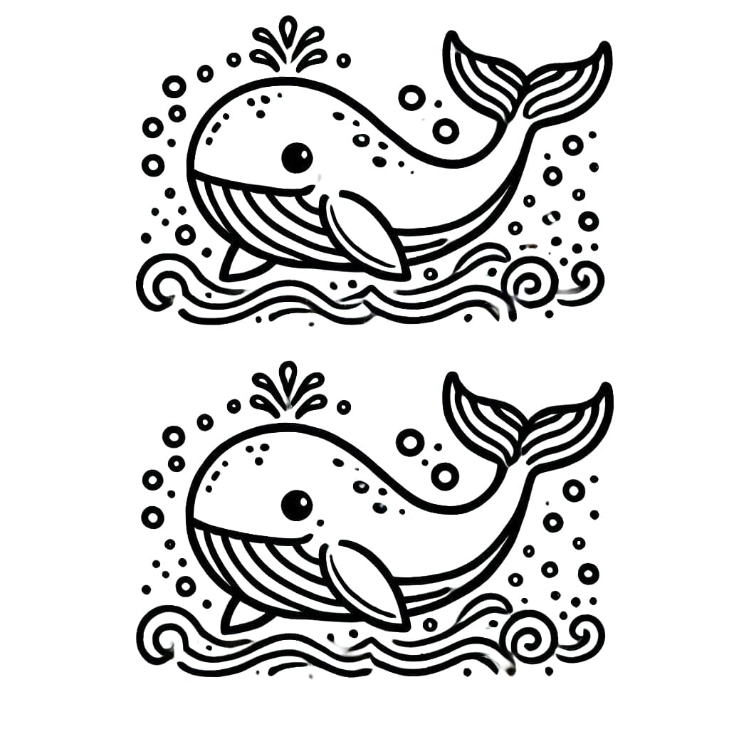 Dua Paus Lucu Dua Paus Lucu