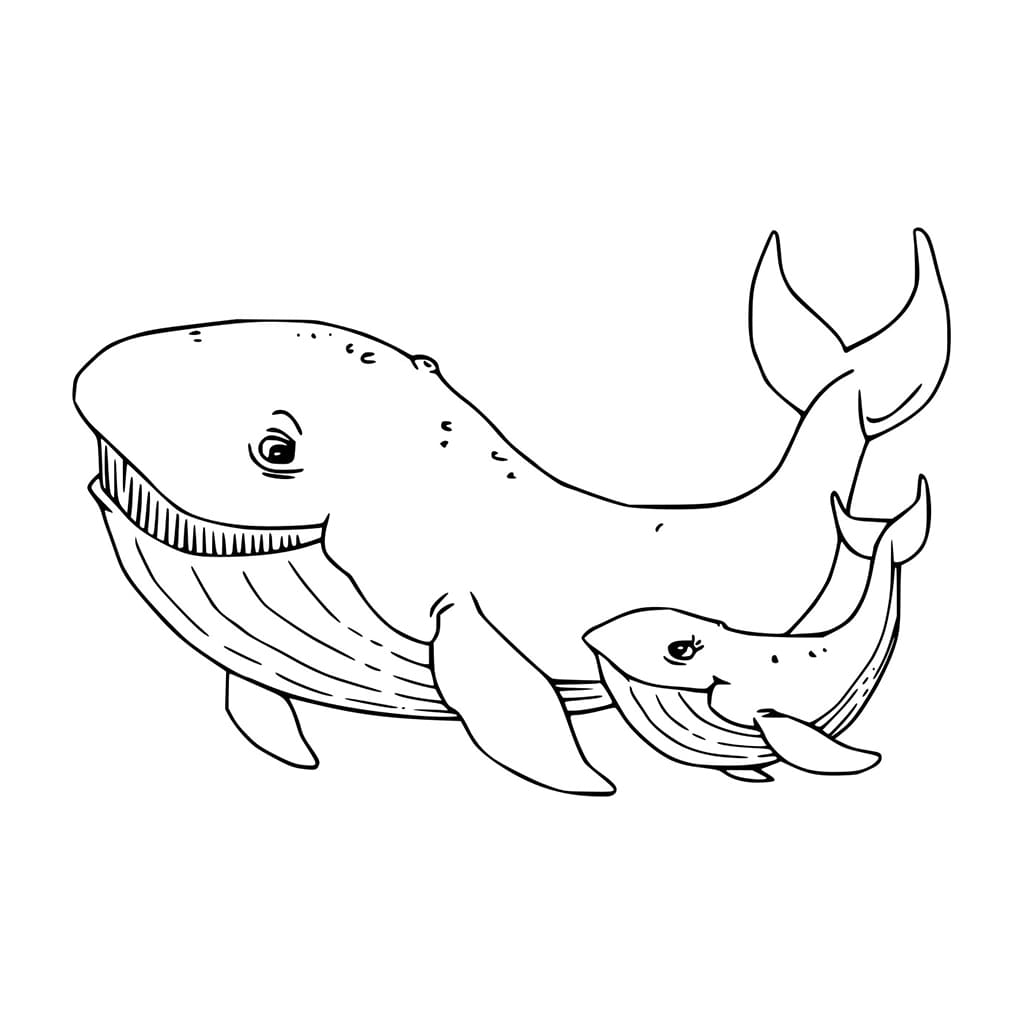 Kartun Paus dengan Anaknya