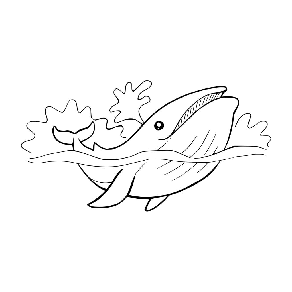 Kartun Paus di Lautan