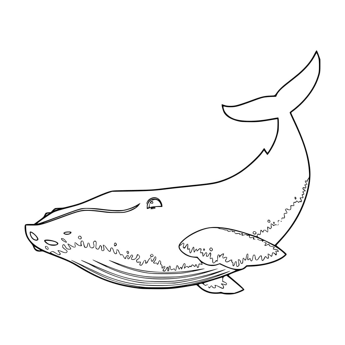 Paus Biru yang Realistis