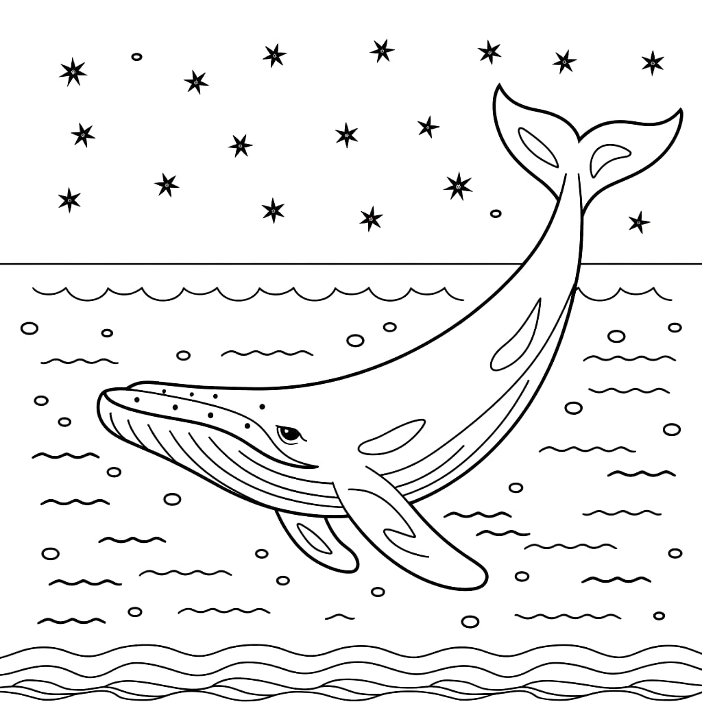 Paus dan bintang