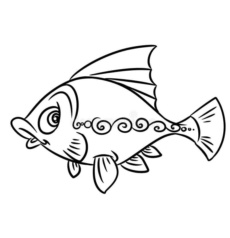 Pola Ikan
