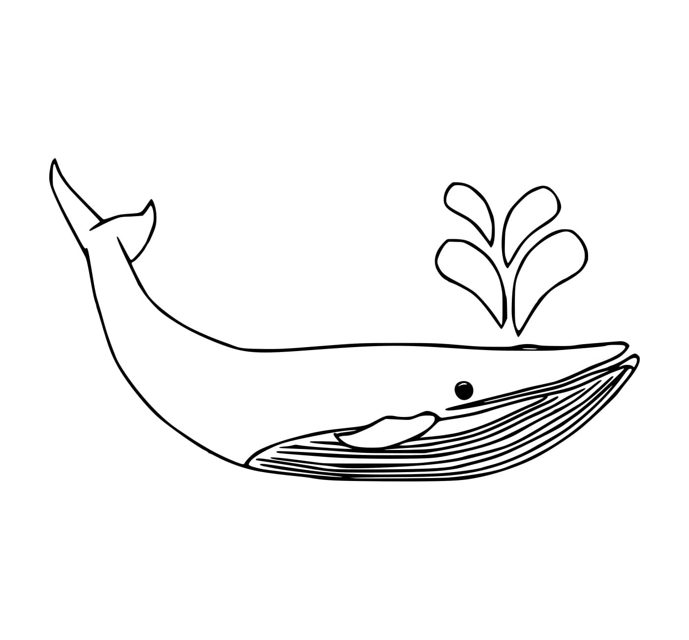 Semburan Paus Biru Sederhana