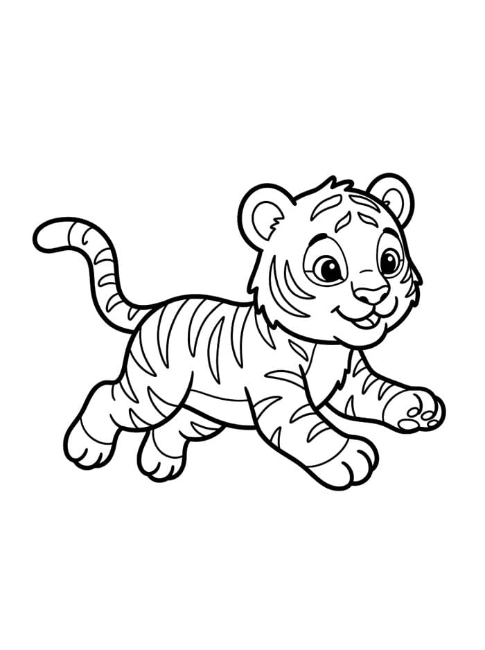 Bayi Harimau Berlari