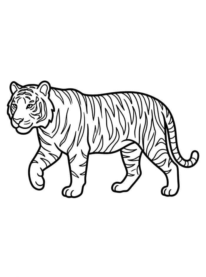 Jalan-jalan Harimau