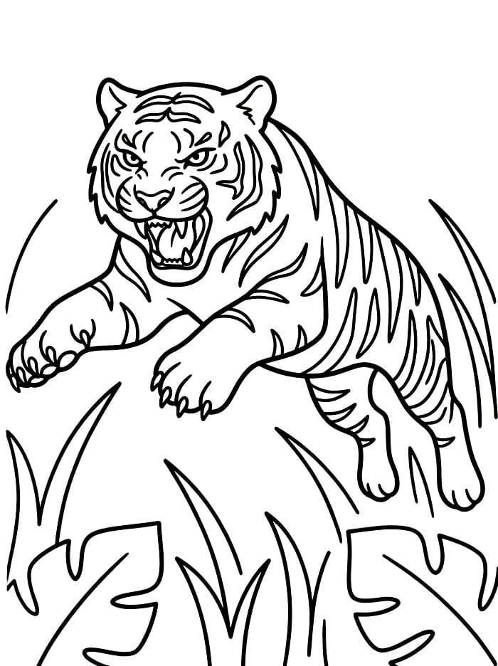 Serangan Macan Marah