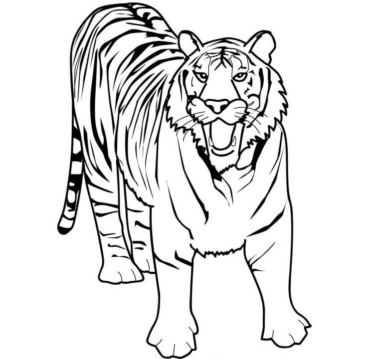 Harimau Dasar