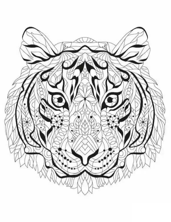 Kepala Harimau untuk Dewasa