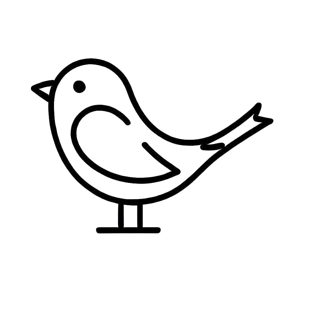 Burung Asas Burung Asas