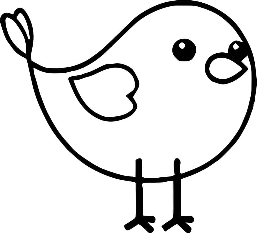 Burung Comel Boleh Cetak