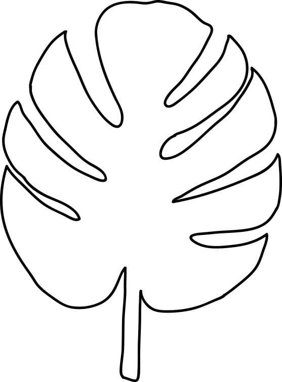 Daun Palem Daun Palem