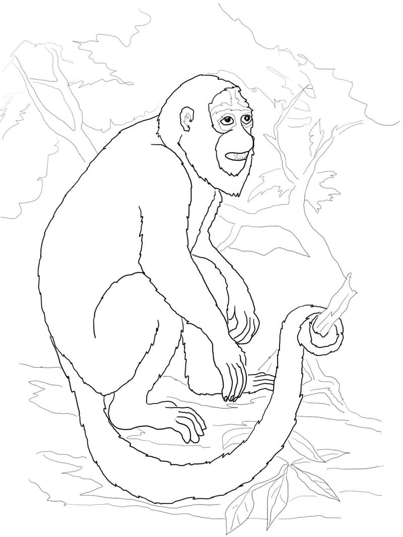 Desain Monyet Normal Untuk