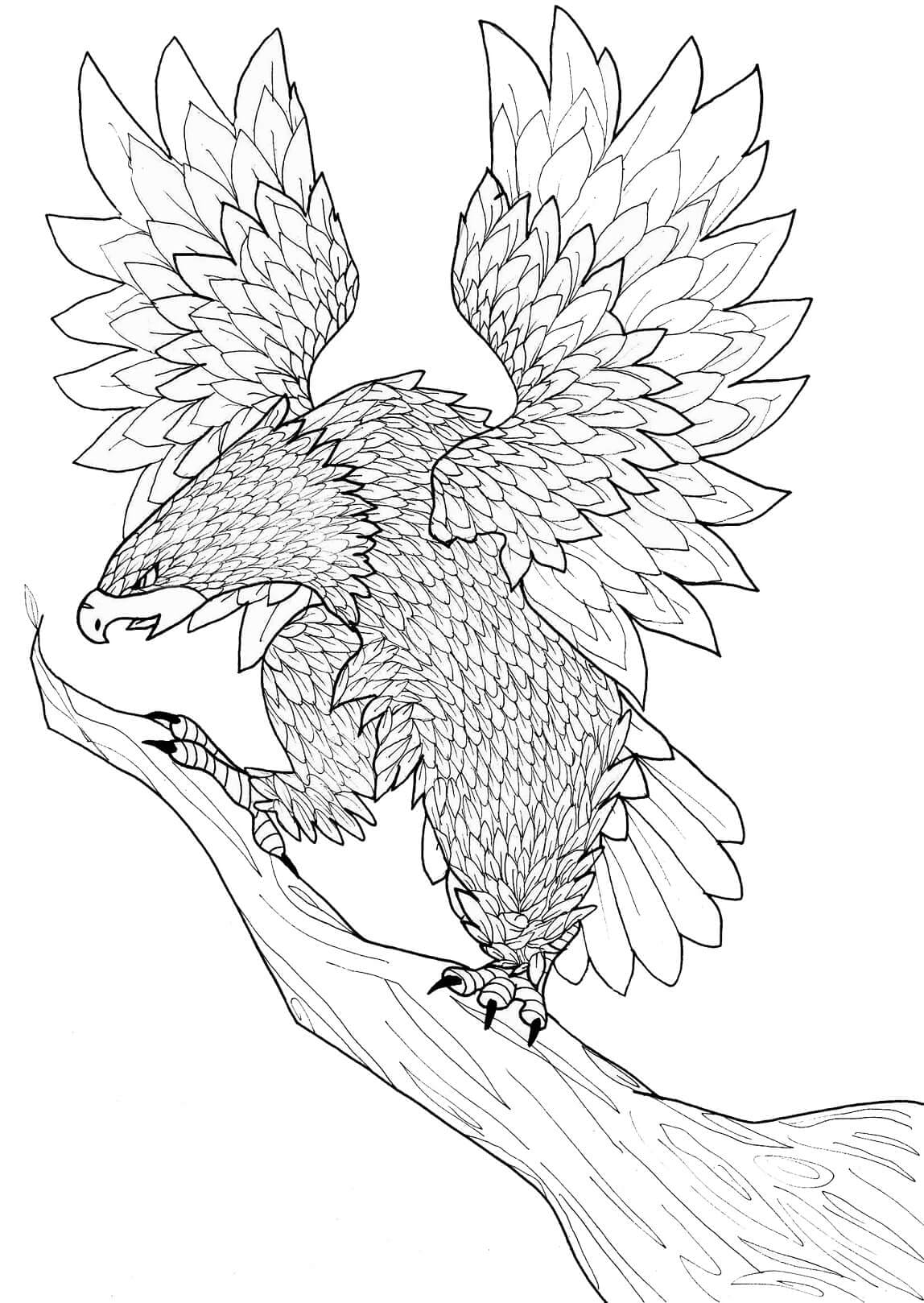 Elang Untuk Orang Dewasa