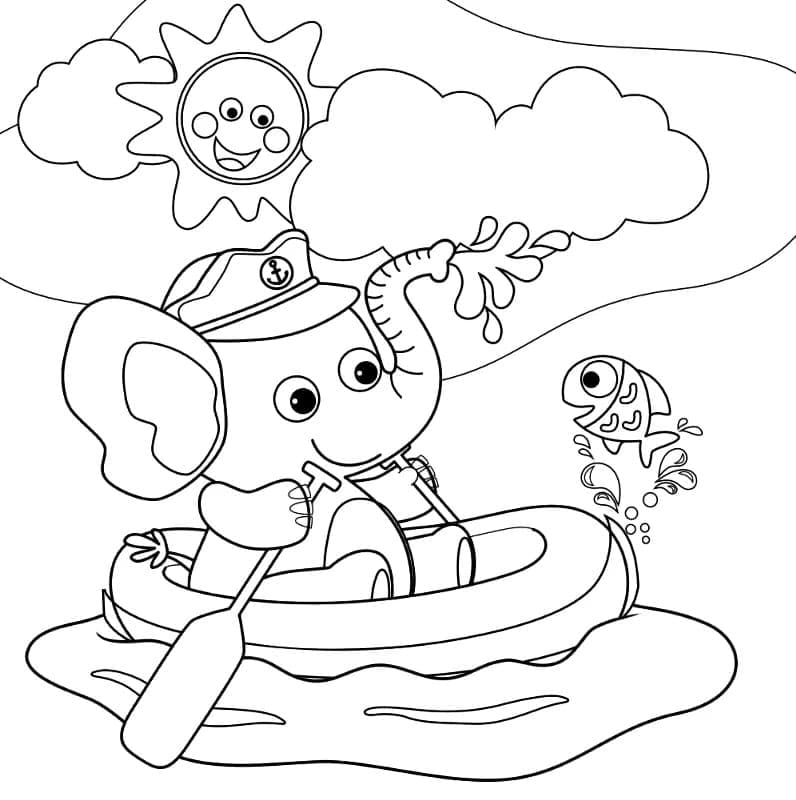 Gajah Pelaut yang lucu