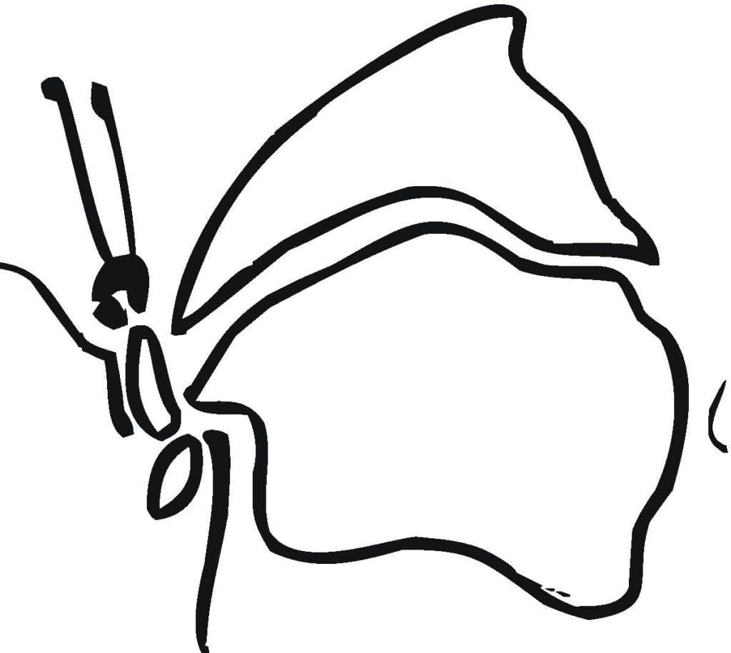 Kupu-kupu Sederhana yang Dapat Dicetak