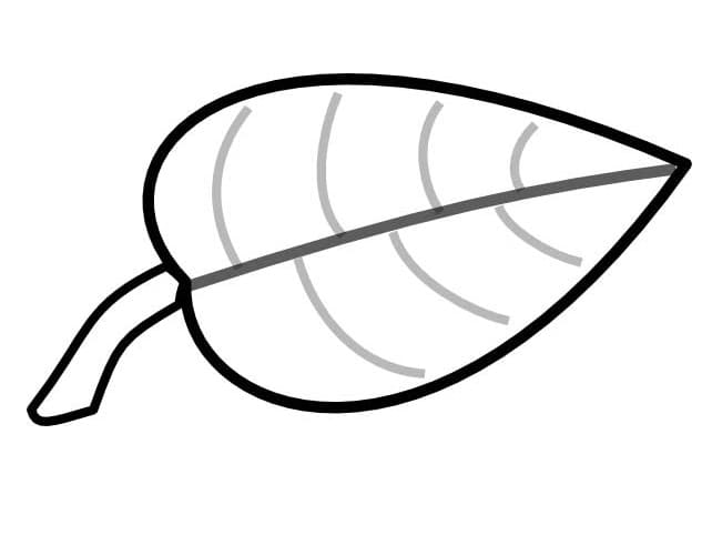 Hoja Normal para colorear