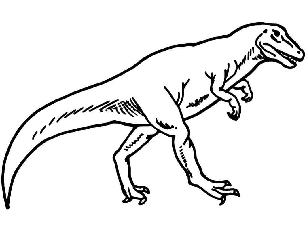 Allosaurus 1