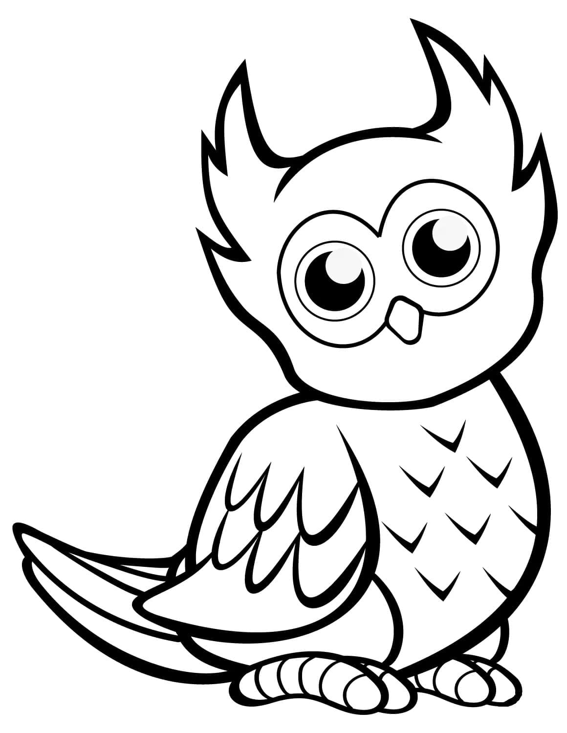 Cute Owl For KidsBurung Hantu Lucu Untuk Anak-Anak