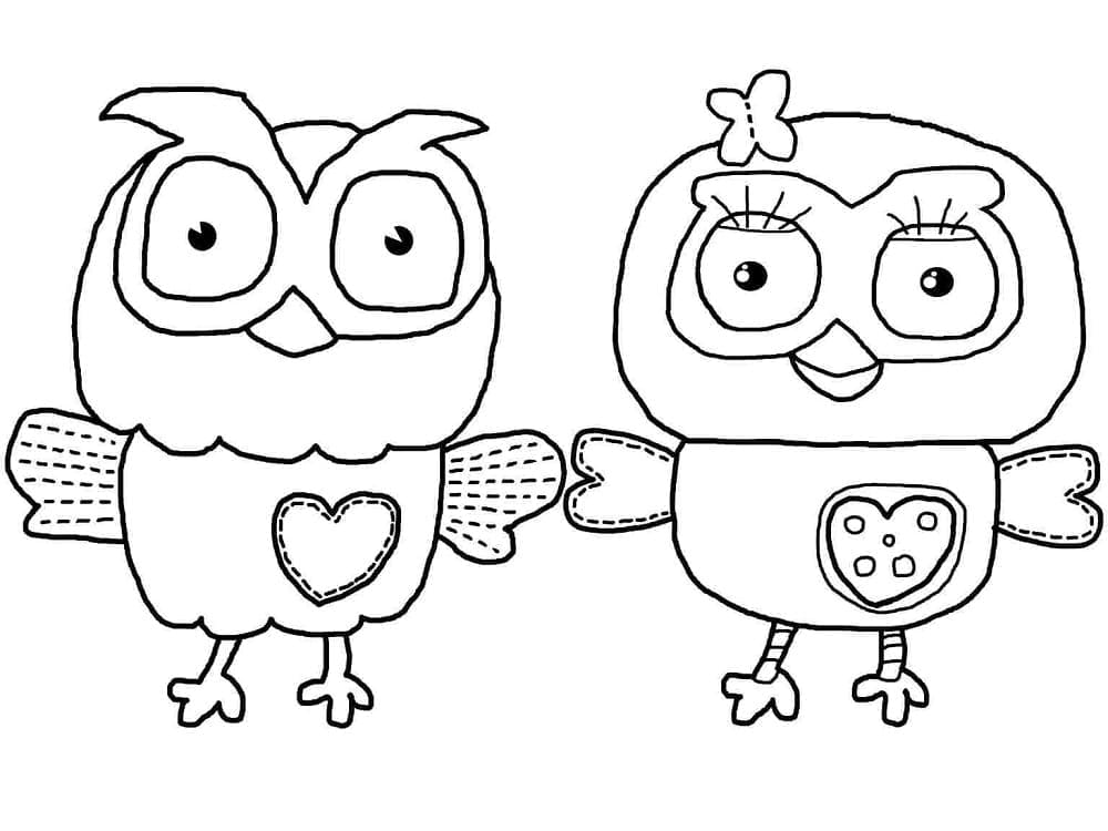 Burung Hantu Lucu yang Lucu