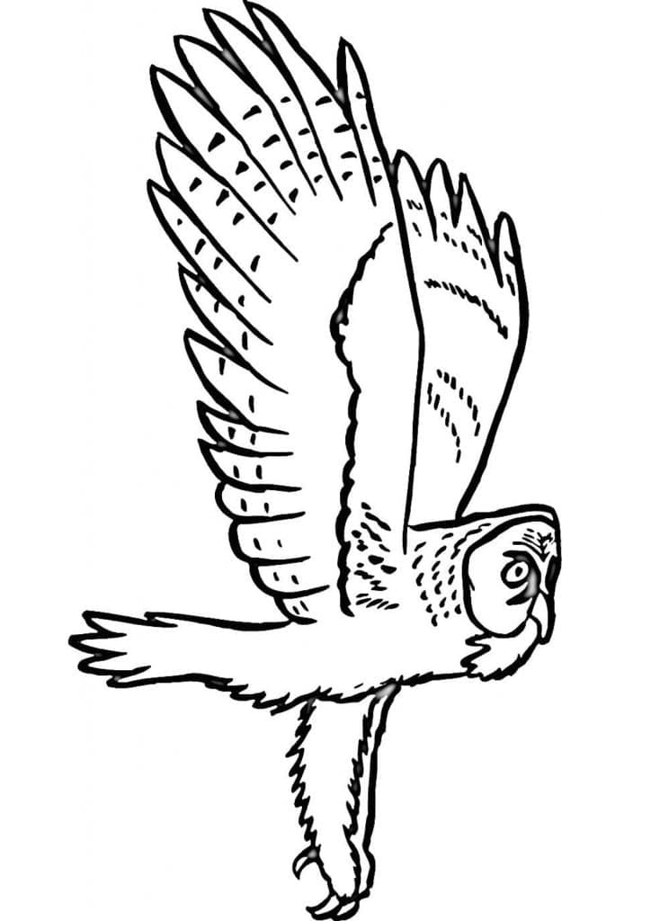 Burung Hantu Terbang yang Dapat Dicetak