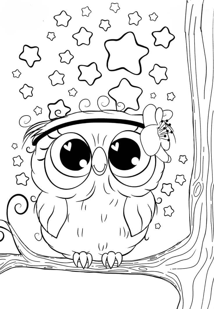 Burung Hantu yang lucu