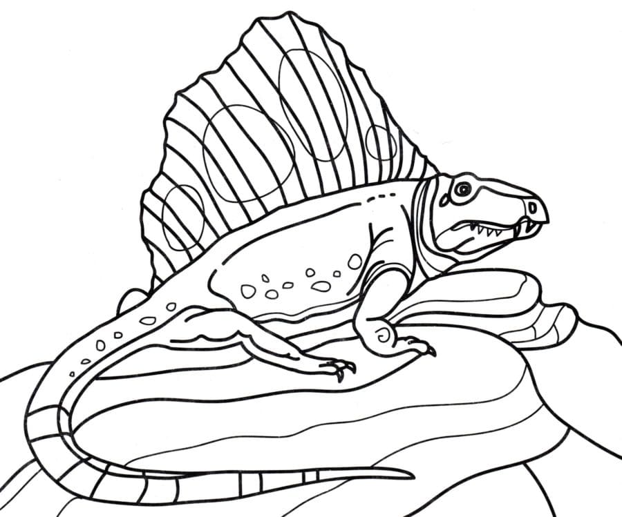 Dimetrodon bersembunyi di atas batu