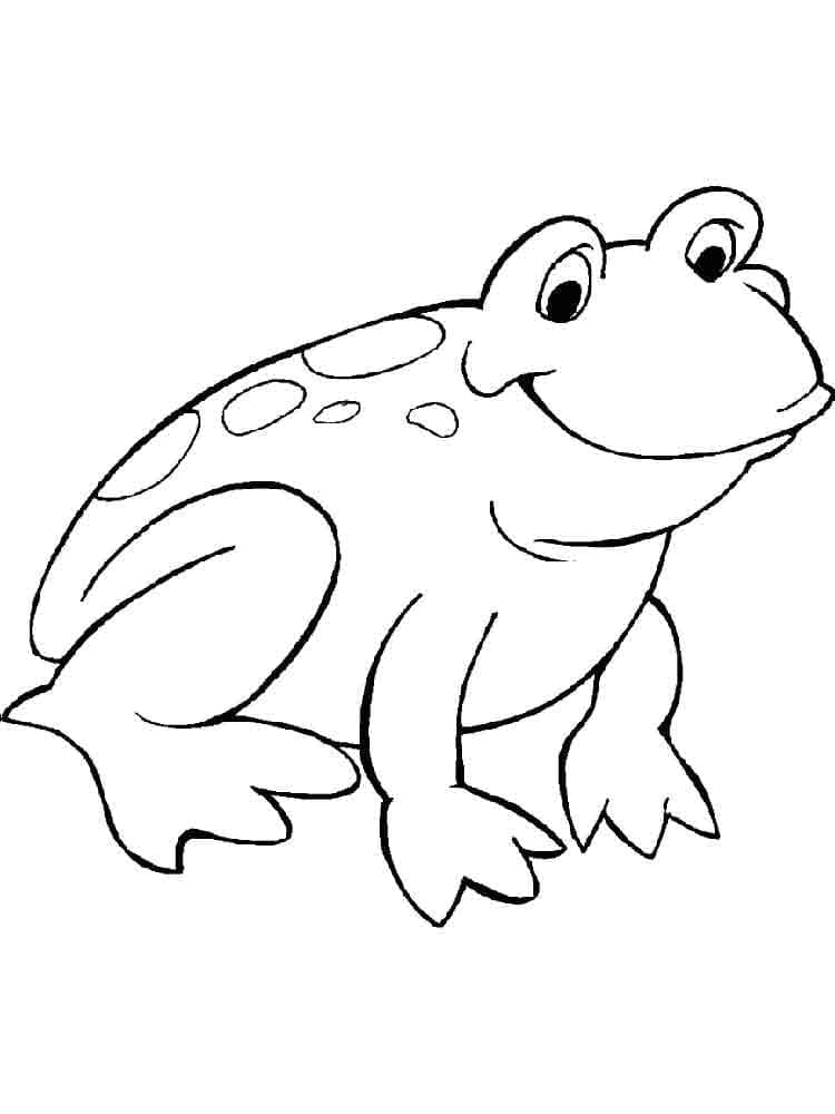 Percuma Katak Comel Untuk Kanak-kanak