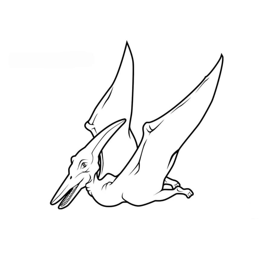 Pteranodon terbang