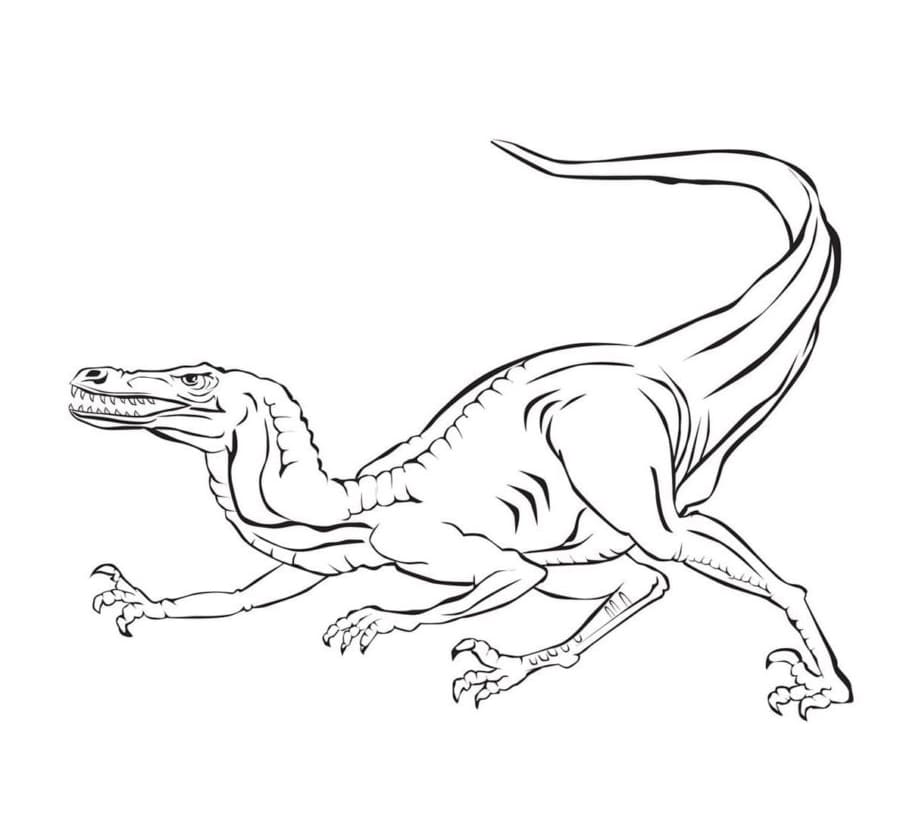 Velociraptor menyelinap