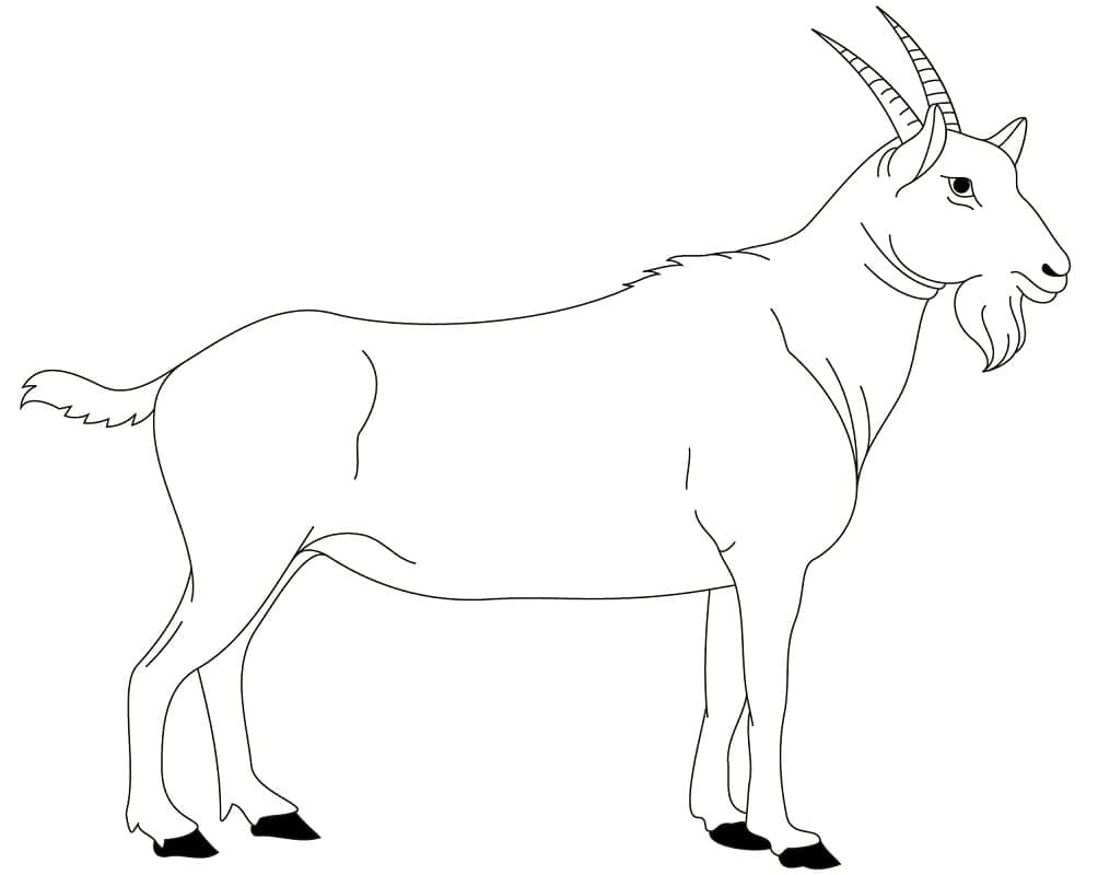 Lukisan Kambing