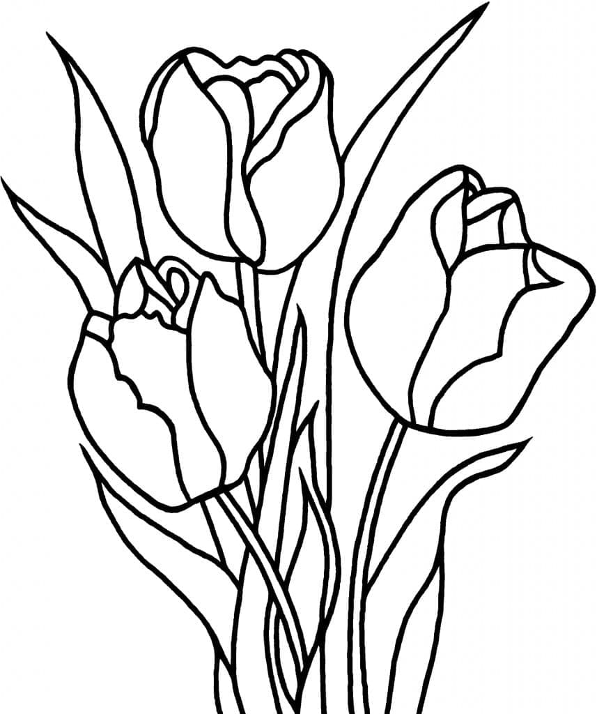 Menggambar Tulip