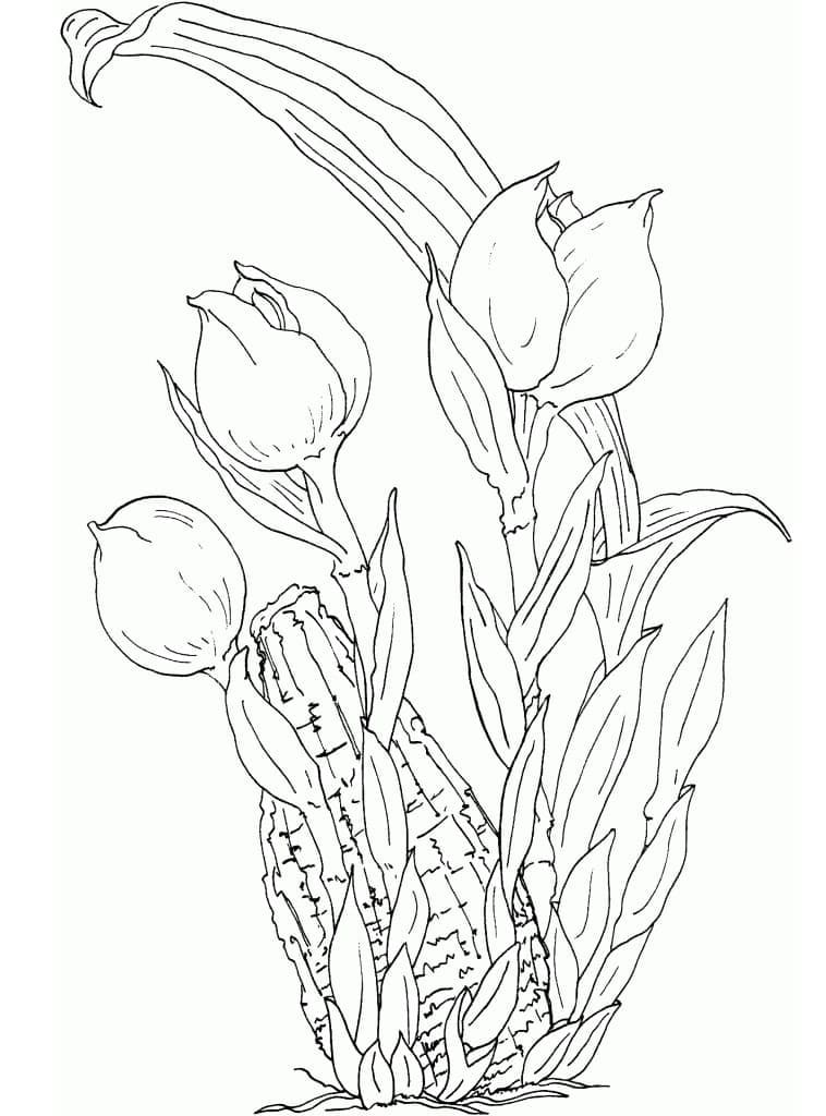 Tulip Dapat Dicetak Untuk Anak-Anak