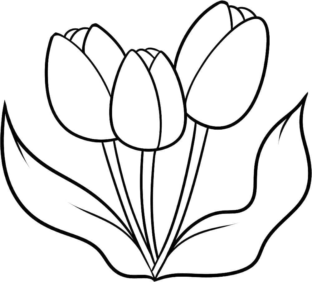 Tulip Mudah