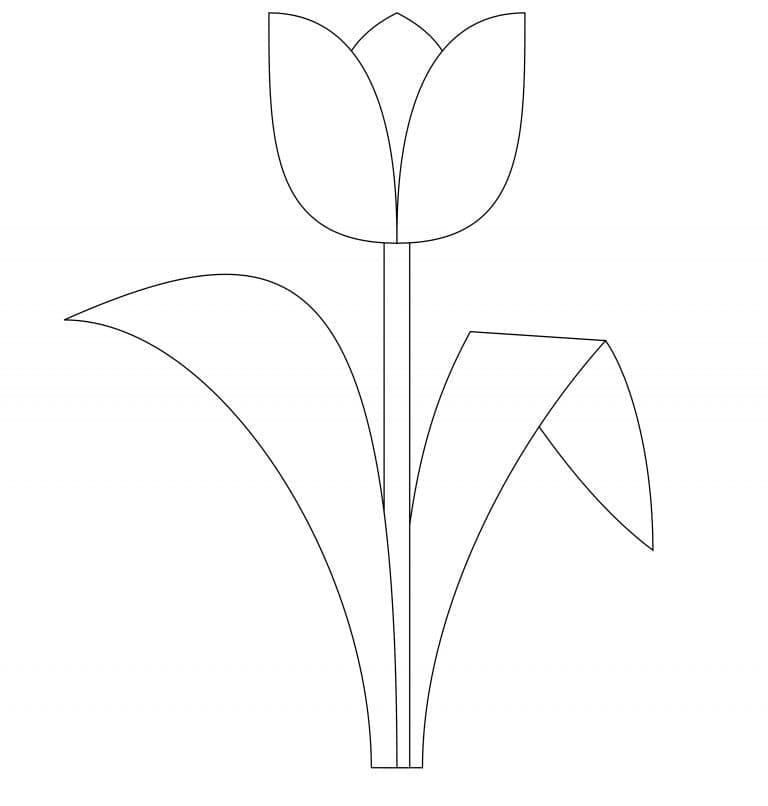 Tulip yang Sangat Mudah