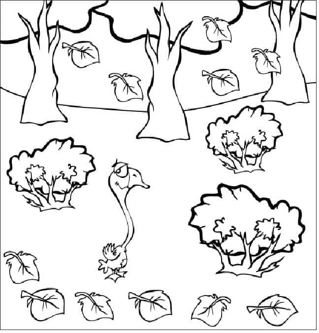 Angsa Berjalan Di Hutan