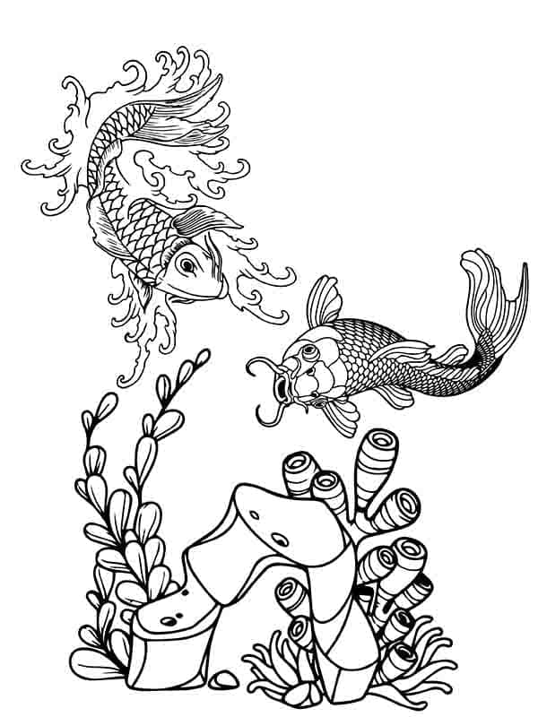 Ikan Koi yang Bagus 2