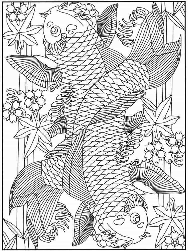 Ikan Koi yang Menakjubkan