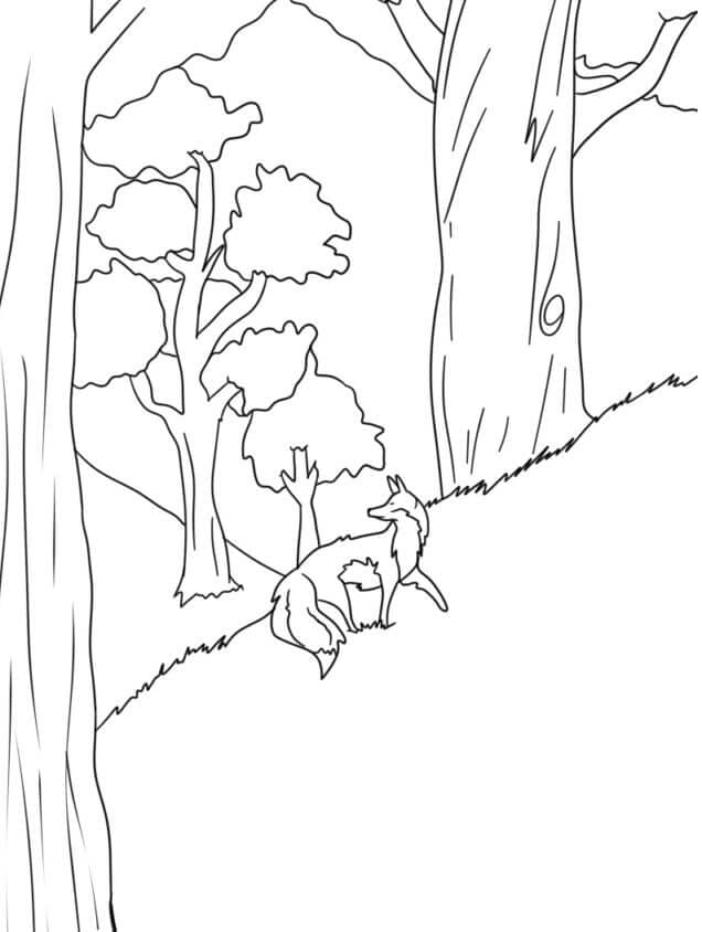 Rubah Berjalan Di Hutan