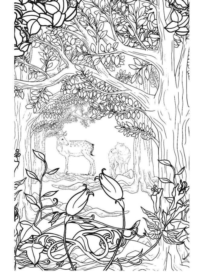 Serigala dan Lanka di Belukar Hutan