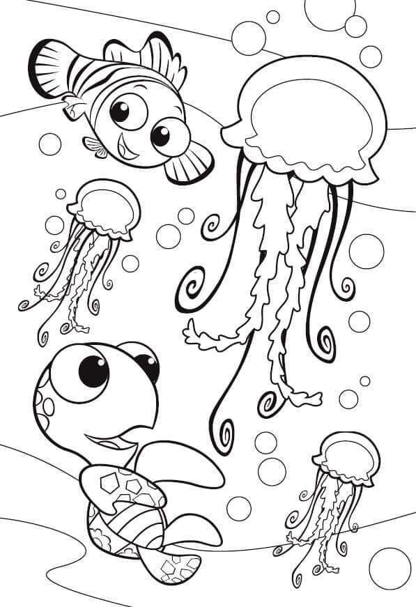 Bersenang-senang di Antara Ubur-ubur