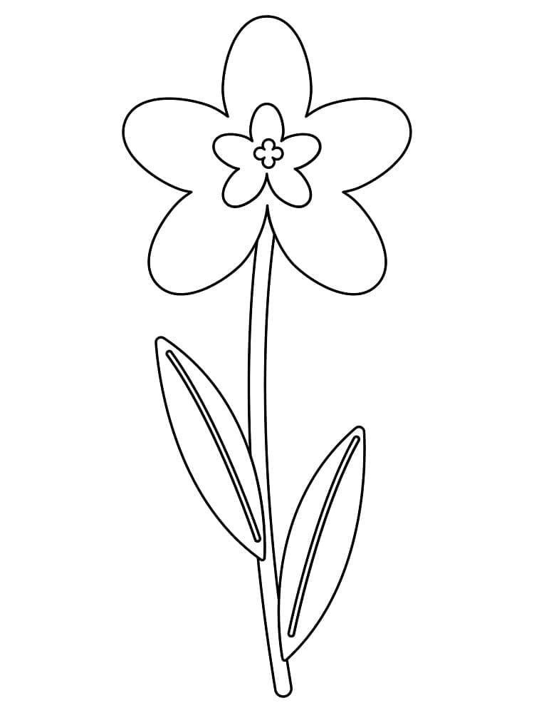 Bunga Melati Sederhana