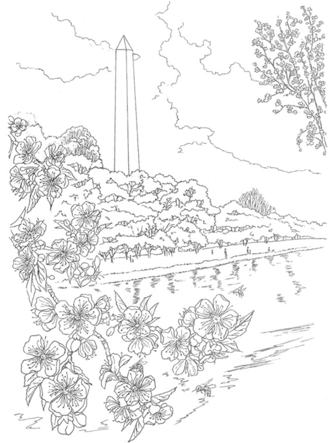 Bunga sakura Mengagumkan