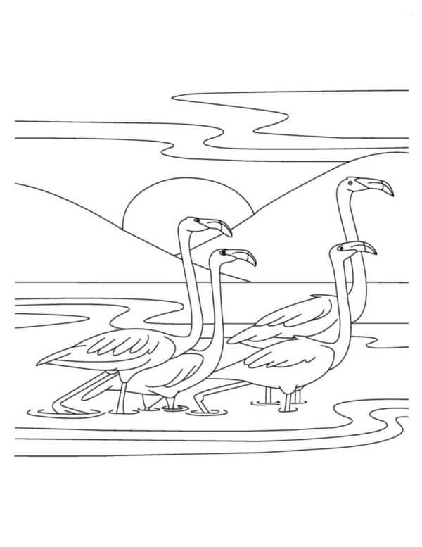 Burung Bertemu Senja