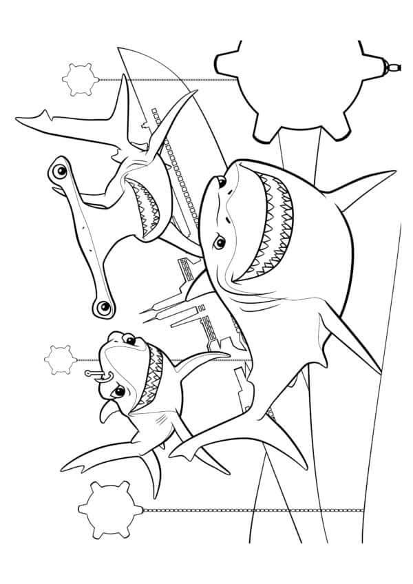 Hillock, Anchor dan Chavk