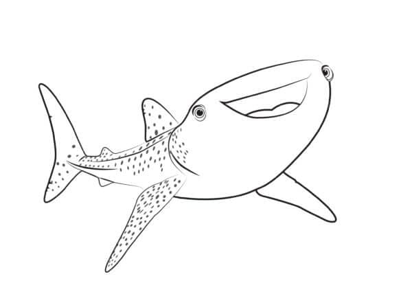 Hiu Paus Bernama Destiny