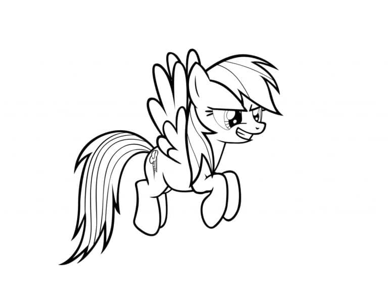 Kuda Poni Rainbow Dash Lucu 2