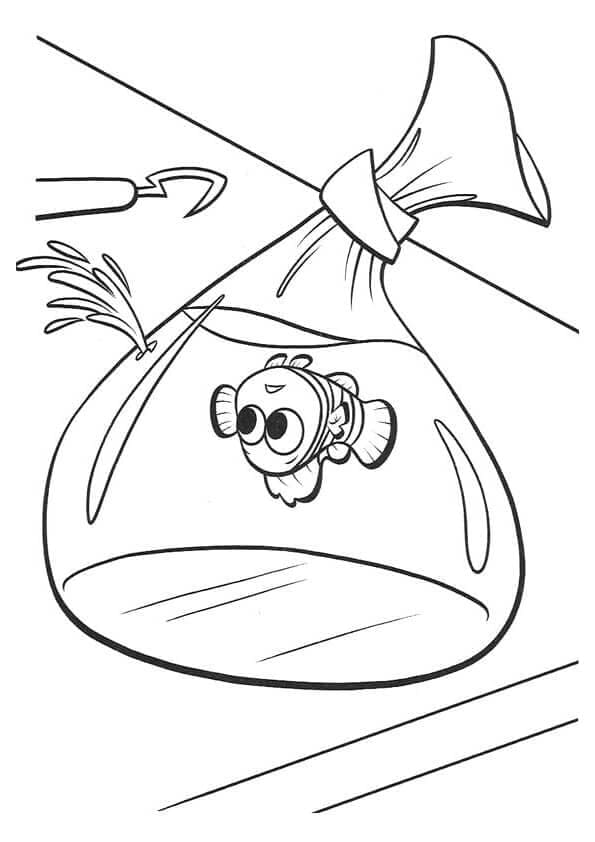 Nemo Bayi dalam Kantong